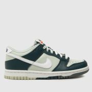 Nike white & green dunk low Boys Youth trainers