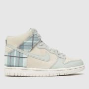Nike light grey dunk high se Youth trainers
