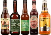 Organic Mixed Beer & Ciders - Case of 20