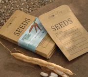 Seed Storage Envelopes - Pack of 20