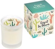 Desert In Bloom Boxed Scented Soy Candle - Lime & Bayleaf