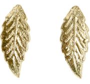 Fair Trade Gold Colour Leaf Earrings