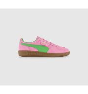 Puma Palermo Trainers Pink Delight Puma Green