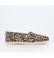 TOMS Alpargata Slip Ons Leopard Animal Print