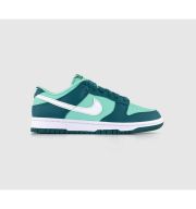Nike Dunk Low Trainers Geode Teal White Emerald Rise