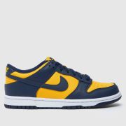 Nike navy dunk low Boys Youth trainers