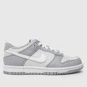 Nike grey dunk low Youth trainers