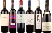 Premium Organic Red Wines - Case of 6