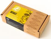 Botanist Cacao Bean Exploration Kit