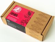 Explorer Raw Chocolate Making Kit