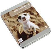 Adopt a Meerkat Gift Pack