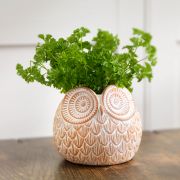 Owl Terracotta Planter