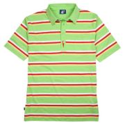 Striped Arnie Polo Shirt - Lime