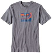 Patagonia Framed Fitz Roy Logo T-Shirt - Nickel