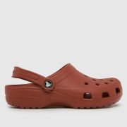 Crocs Classic Clog Sandals in Brown