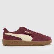 PUMA Palermo Trainers in Burgundy