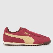 PUMA Arizona Trainers in Burgundy