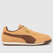 PUMA Arizona Trainers in Beige & Brown