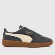 PUMA Palermo Trainers in Dark Grey