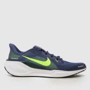 Nike Multi Air Zoom Pegasus 41 Youth Trainers