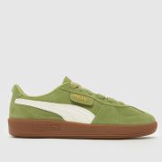 PUMA Palermo Trainers in Light Green